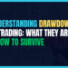 Featured Image for Understanding Drawdowns in Trading: What They Are & How to Survive